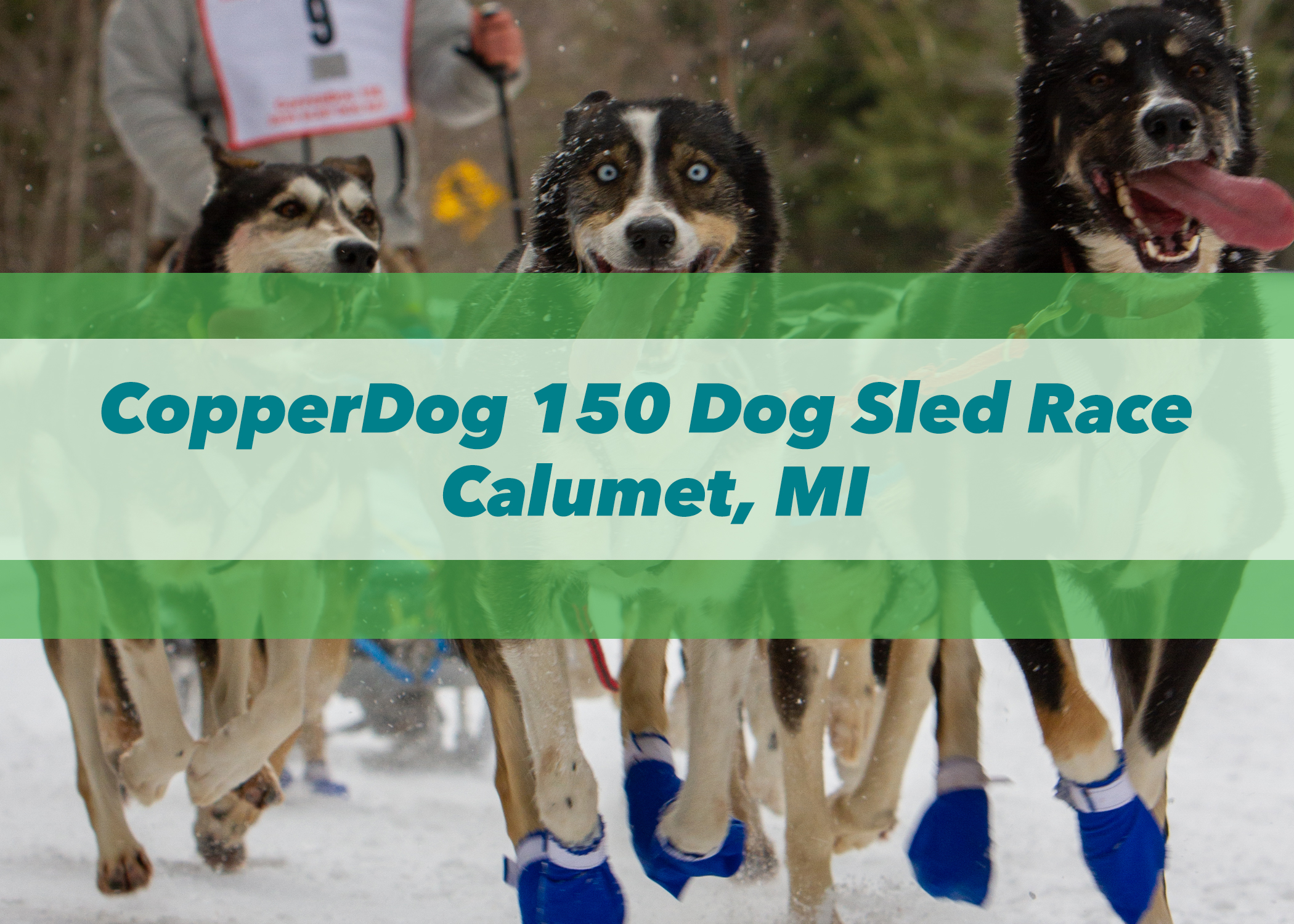 CopperDog 150 Dog Sled Race | Calumet, MI