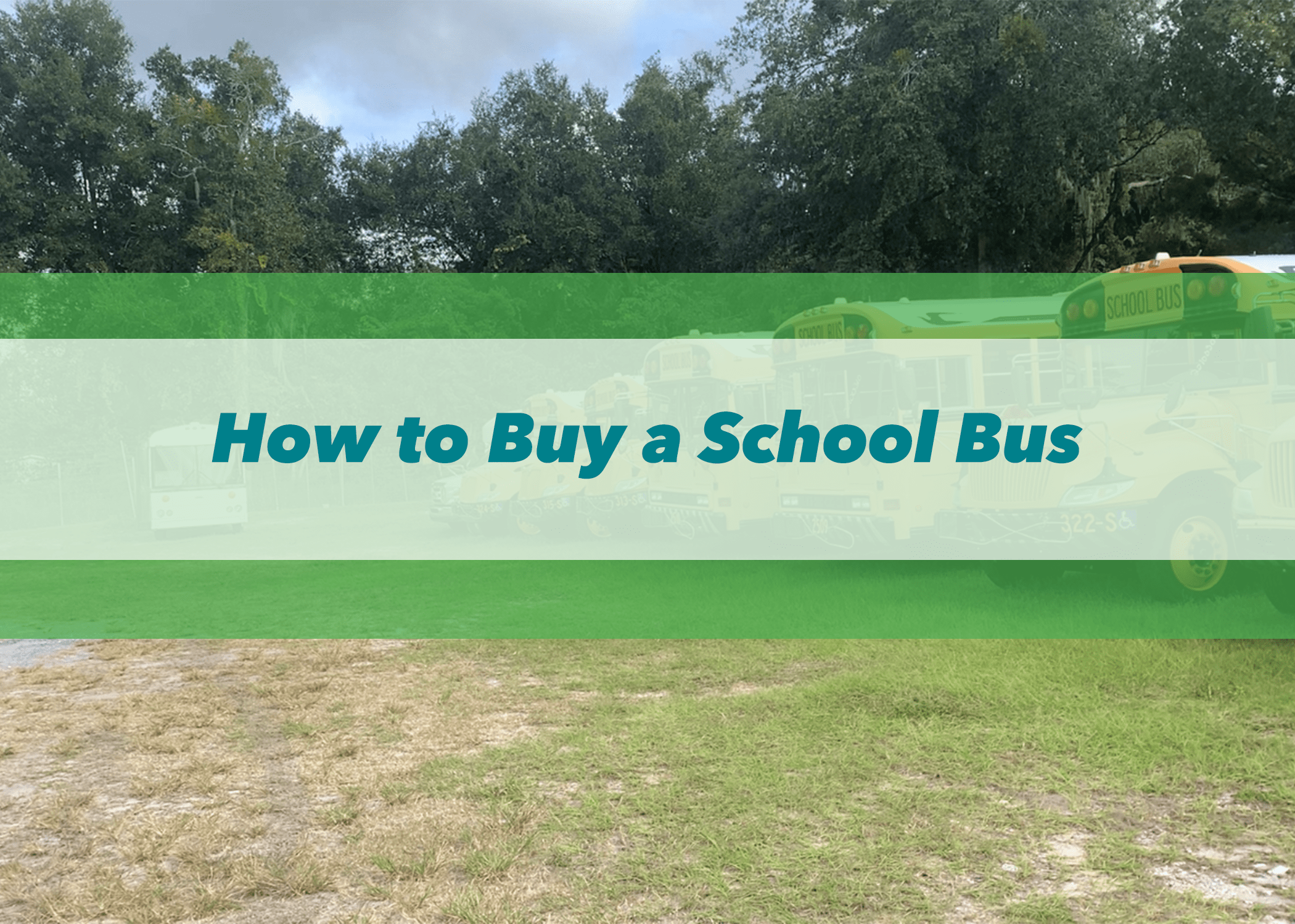 How to Buy a School Bus | Skoolie | Bus Conversion