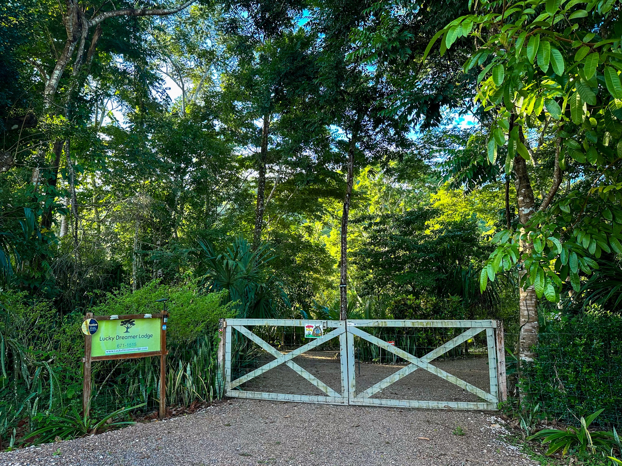 The entrance gate of Lucky Dreamer Lodge in the village of Cristo Rey Belize surrounded by lush green jungle.